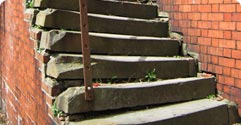 Building Investigations case studies