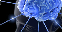 Innovation case studies