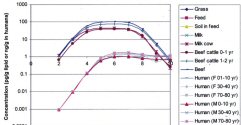 Bioaccumulation models